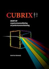 Cubrix, zicht op organisatieontwikkeling en performanceverbetering (e-Book)