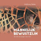 Mannelijk Bewustzijn - Anthony Sinke (ISBN 9789464053913)