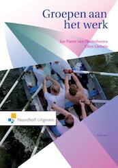 Groepen aan het werk - Jan Pieter van Oudenhoven, Ellen Giebels (ISBN 9789001843366)
