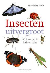 Insecten uitvergroot - Matthias Helb (ISBN 9789059567450)