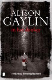 In het donker - Alison Gaylin (ISBN 9789022575208)