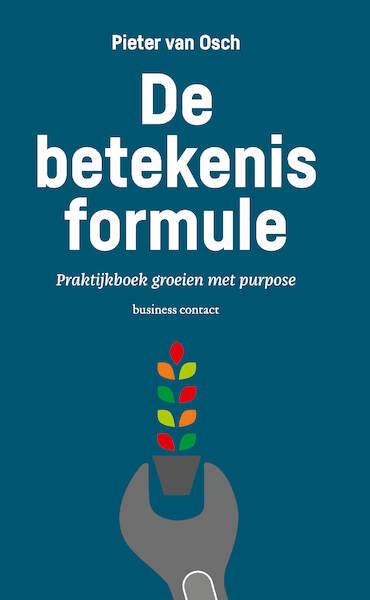 De betekenisformule - Pieter van Osch (ISBN 9789047012245)