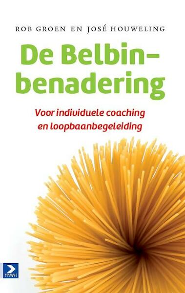 Belbinbenadering - Rob Groen, José Houweling (ISBN 9789462201323)