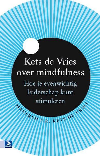 Evenwichtig leiderschap ontwikkelen - Manfred F.R. Kets de Vries (ISBN 9789462200845)