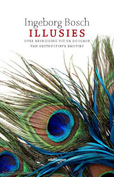 Illusies - Ingeborg Bosch (ISBN 9789045029825)