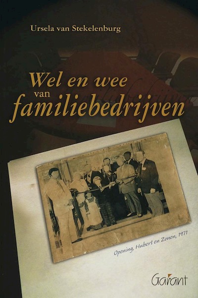 Wel en wee van familiebedrijven - U. van Stekelenburg (ISBN 9789044120578)