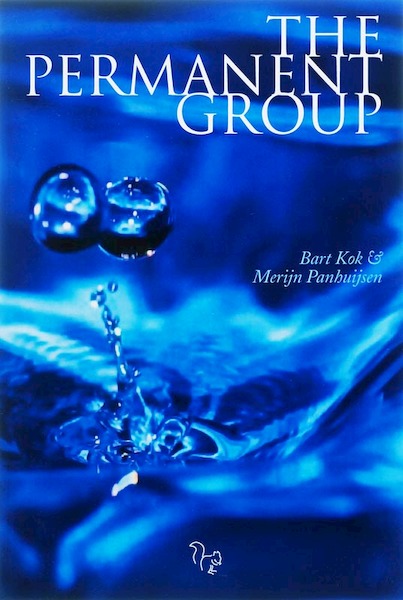The Permanent Group - B. Kok, M. Panhuijsen (ISBN 9789051793451)