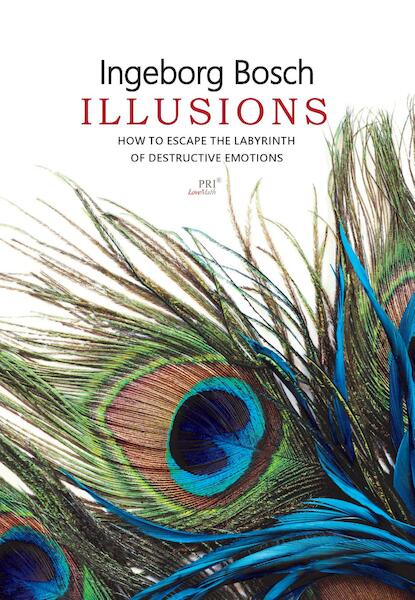Illusions - Ingeborg Bosch (ISBN 9789080704947)