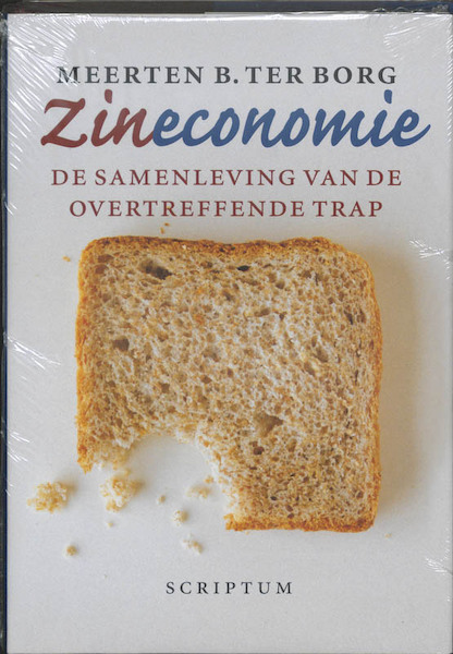 Zineconomie - M.B. ter Borg, Berend ter Borg (ISBN 9789055943517)
