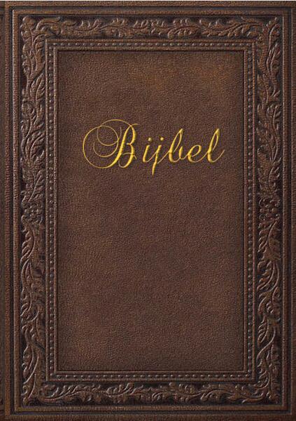 Bijbel - V.A. Ticaan (ISBN 9789464430738)