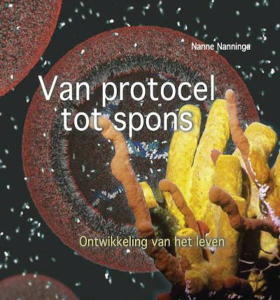 Van protocel tot spons - Nanne Nanninga (ISBN 9789085713401)