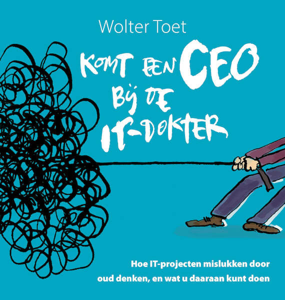 Komt een CEO bij de IT-dokter - Wolter Toet (ISBN 9789461262905)