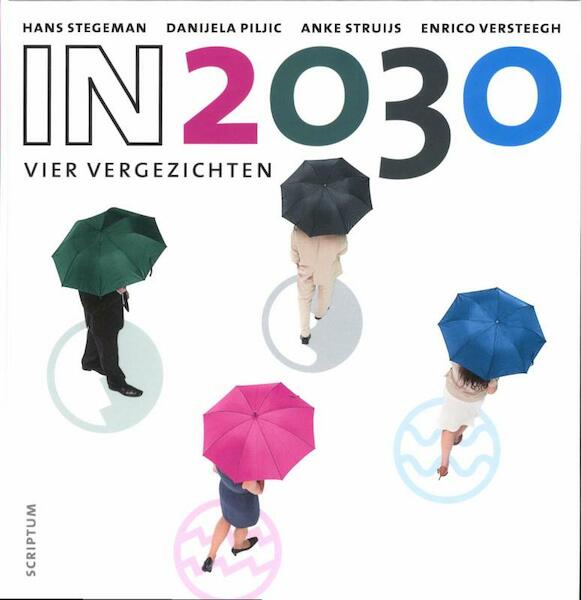 In 2030 - Hans Stegeman, Danijela Piljic, Anke Struijs, Enrico Versteegh (ISBN 9789055948505)